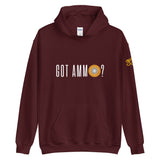 Got Ammo - Hoodie (Dark)