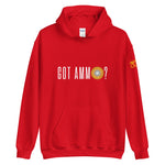 Got Ammo - Hoodie (Dark)