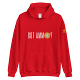 Got Ammo - Hoodie (Dark)